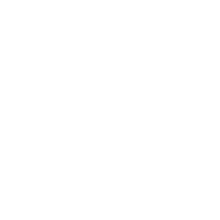 Dog Daycare in Dubai