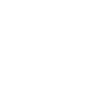 Dog Training in Dubai