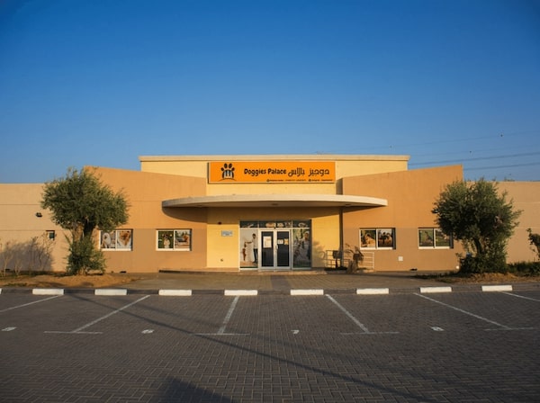 Pet Boarding,Training in Dubai