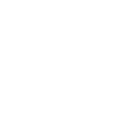 Pet-Cat-Dog Boarding in Dubai