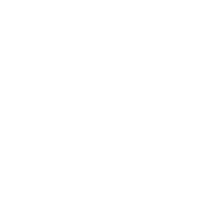 Pet Grooming in Dubai