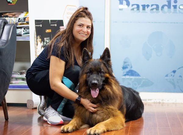 Pet Boarding,Grooming,Training in Dubai