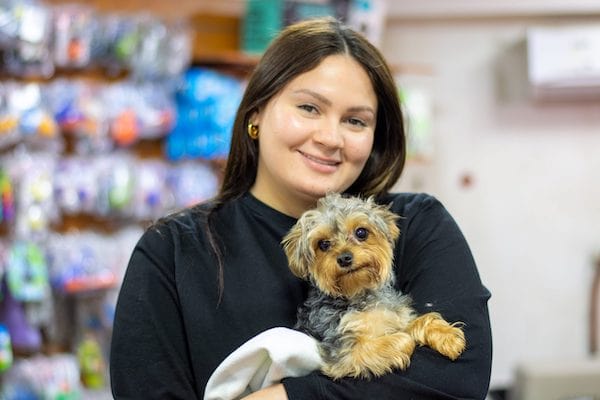 Pet Boarding,Grooming,Training in Dubai