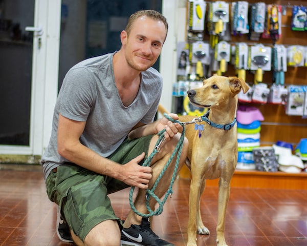 Pet Boarding,Grooming,Training in Dubai